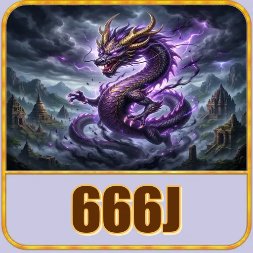 Performa 666j